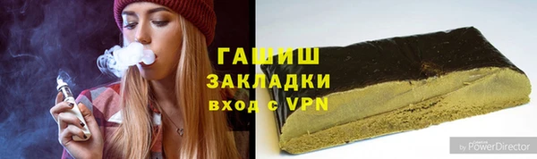 МДПВ Бородино