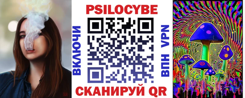 хочу   Сосногорск  blacksprut зеркало  Псилоцибиновые грибы Psilocybe 